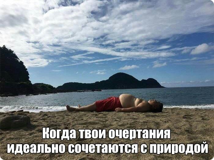 идеально сочетаютсягсппиіісідои