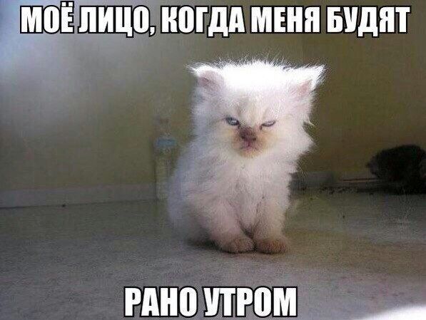 ііППШ МЕНЯ БУШ
