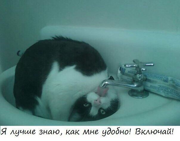 Я лучше знаю как Мне удобно Вкдючай