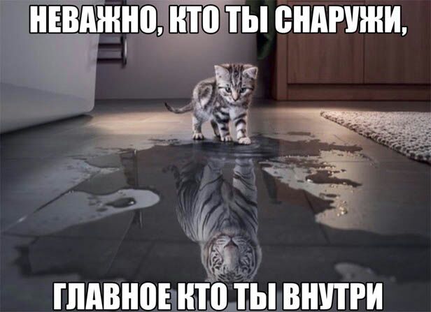 ЁЙжнпьп ендгшни 533 _ ГЛАВ НТП ТЫ ВНУТРИ