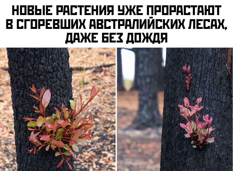 НПВЫЕ РПЕТЕНИЯ ЖЕ ПРПРПЕТді ПТ В ЕГПРЕВШИХ ПВЕТРППИИЕКИХ ПЕЕдХ ДПЖЕ БЕЗ дПЖДЯ