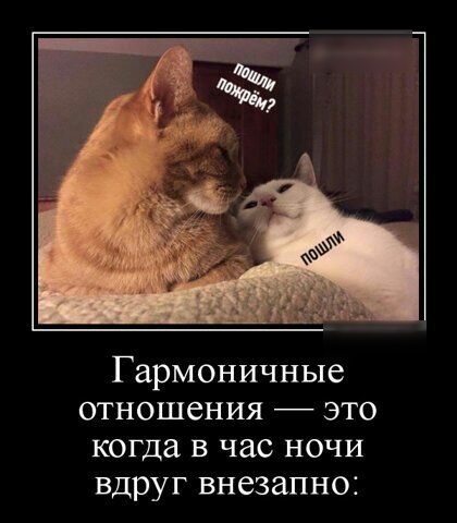 Гармоничные отношения это когда в час ночи вдруг внезапно