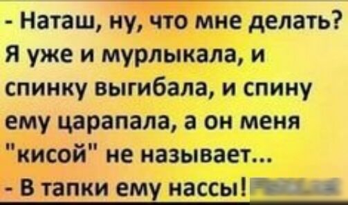 Наташ ну что мне делать Я уже и мурлыкала и спинку выгибала и спину ему царапала а он меня кисой не называет В тапки ему НЗССЫЩЩ