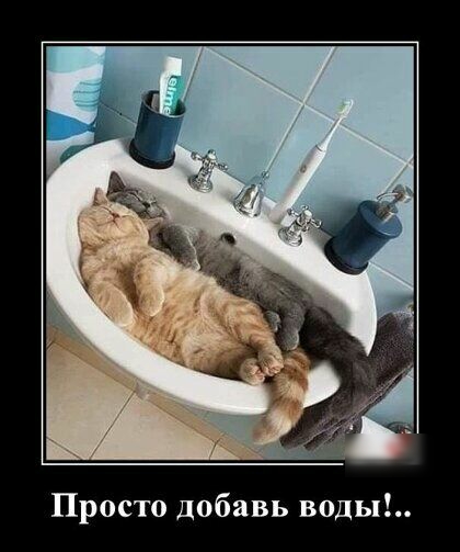 Просто добавь воды