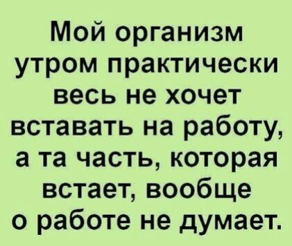Мой организм утром практически весь не хочет вставать на работу а та часть которая встает вообще о работе не думает