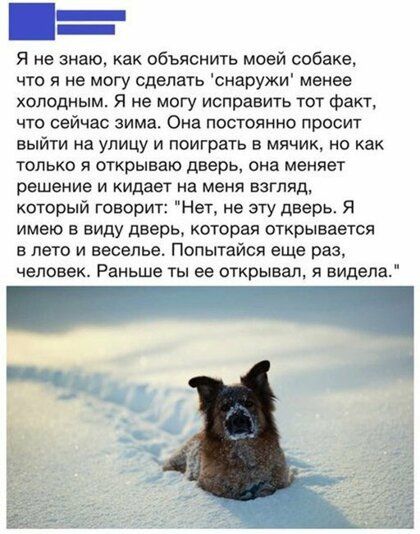 Я не знаю как объяснить моей собаке что я не могу сделать снаружи менее холодным Я не могу исправить тот факт что сейчас зима Она постоянно просит выйти на улицу и поиграть в мячик но как только я открываю дверь она меняет решение и кидает на меня взгляд который говорит Нет не эту дверь Я имею в виду дверь которая открывается в лето и веселье Попытайся еще раз человек Раньше ты ее открывал я видел