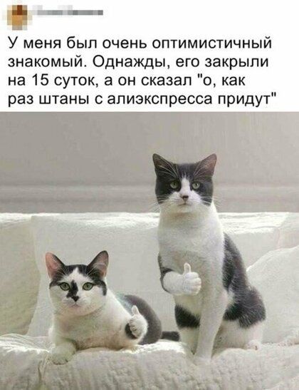 У меня был очень оптимистичный знакомый Однажды его закрыли на 15 суток а он сказал о как раз штаны ализкспресса придут