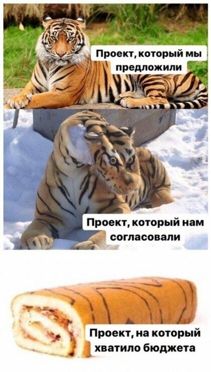 Проект который мы предложили Проект который нам согласовали і 2 ___ 34 Проект на который хватило бюджета