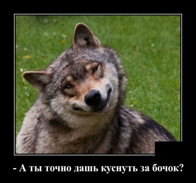 А ты точно дашь куснуть за бочок