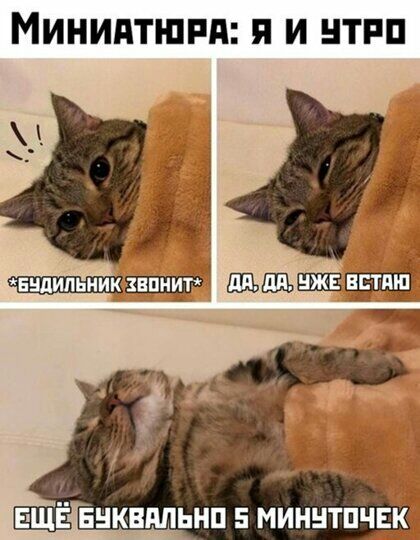 МИНИАТШРА П И НТРП