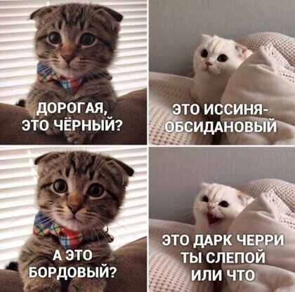 дОЕОГАЯ_ ЭТО ЧЕРНЫИ ЭТО дАРК ЧЕВР ТЫ СЛЕПОИ ЛИ ЧТО Аэто _ БОРдОВЫИ