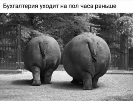 Бухгалтерия уходит на пол часа рань