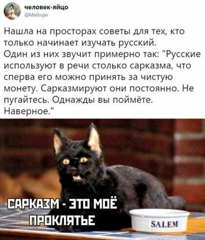 челенэнпйцб Нашла на просторах советы для тех кто только начинает изучать русский Один из них звучит примерно так Русские используют в речи столько сарказма что сперва его можно принять за чистую монету Сарказмируют они постоянно Не пугайтесь Однажды вы поймете Наверное