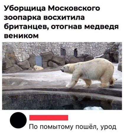 Уборщица Московского зоопарка восхитипа британцев отогнав медведя веником По помытому пошёл урод