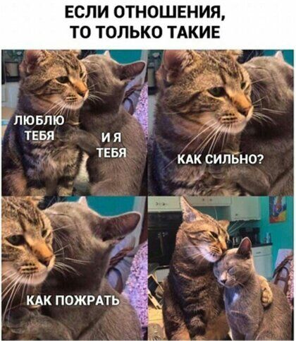 ЕСЛИ ОТНОШЕНИЯ ТО ТОЛЬКО ТАКИЕ уф КАК СИПБНО