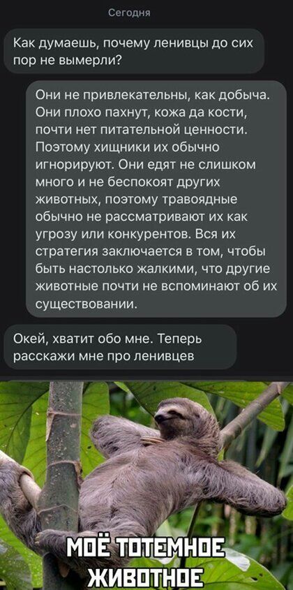 Сегодня Как думаешь почему ленивцы до сих пор не вымерли Они не привлекательны как добыча Они плохо пахнут кожа да кости почти нет питательной ценности Поэтому хищники их обычно игнорируют Они едят не слишком много и не беспокоят других животных поэтому травоядные обычно не рассматривают их как угрозу или конкурентов Вся их стратегия заключается в том чтобы быть настолько жалкими что другие животн