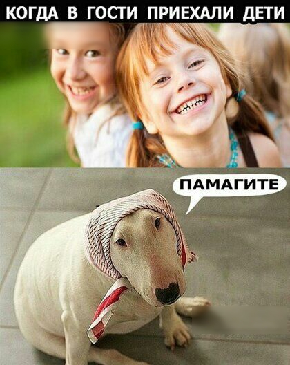 КОГДА В ГОСТИ _ПРИЕХАЛИ дЕТИ