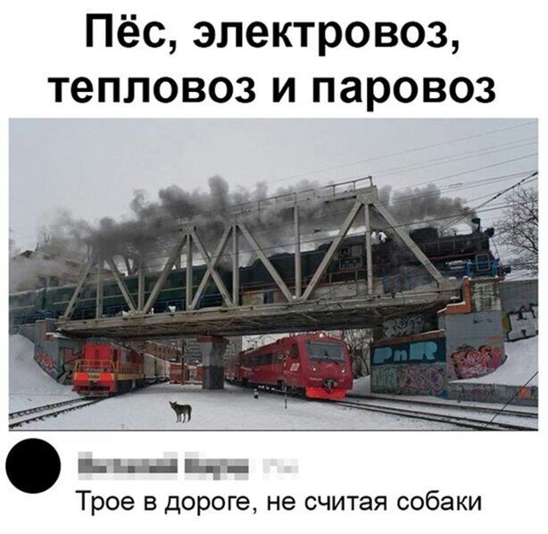 Пёс электровоз тепловоз и паровоз п нд Трое в дороге не считая собаки