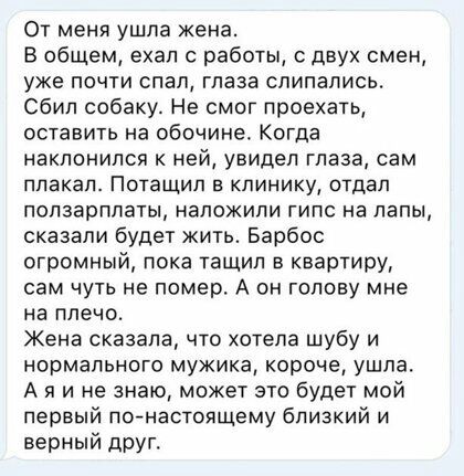 От меня ушла жена В общем ехал с работы с двух смен уже почти спал глаза слипались Сбип собаку Не смог проехать оставить на обочине Когда наклонился к ней увидел глаза сам плакал Потащип В КПИНИКУ ОТДЕЛ попзарплаты наложили гипс на папы сказали будет жить Барбос огромный пока тащил в квартиру сам чуть не помер А он голову мне на плечо Жена сказала что хотела шубу и нормального мужика короче ушла А