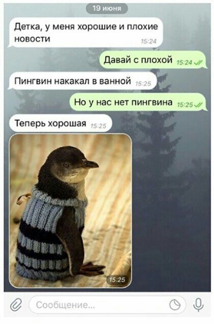 детка у меня хорошие и плохие извести давай с плохой 3 1 Пингвин иакакал в ванной Но у нас нет пингвина Теперь хорошая