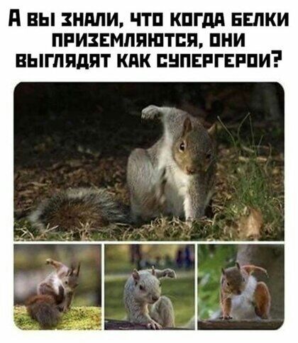 д ВЫ ЗНМИ ЧТП КПГдП ЕЕЛКИ ПРИЗЕМПЯШТПП ПНИ ВЫПШДПТ КПК ЕНПЕРГЕРПИ