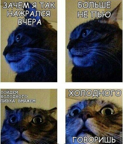 ЗАЧЕМ Я ТАК