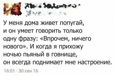 0 и У меня дома живет попугай и он умеет говорить только одну фразу Впрочем ничего нового И когда я прихожу ночью пьяный в говнище ОН всегда ПОДНИМЗЕТ мне насгроение мы И