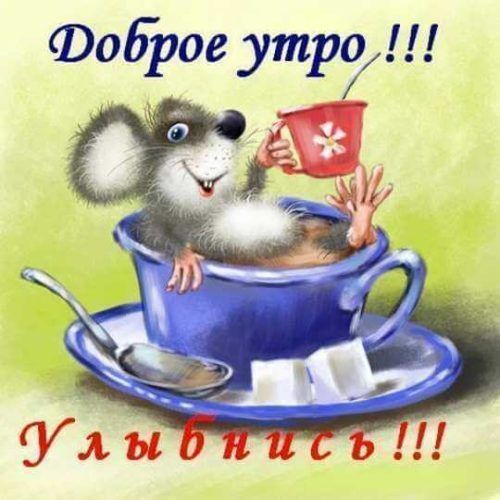 доброе утр п да У _