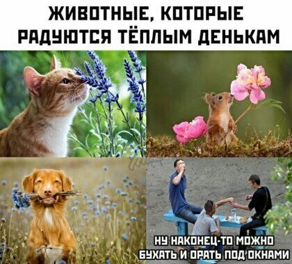 ЖИЗНИ ЧЕ КПТПРЫЕ РПДНШТПЯ ТЕППЫМ дЕНЬКПМ нн нвйпцЕп тп м _ винд и пши ппдпк ми_