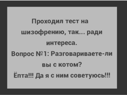 Проходил тест на шизофрению так ради интереса Вопрос 1 Разговариваетпи вы с котом Ёпт Да я с ним советуюсь