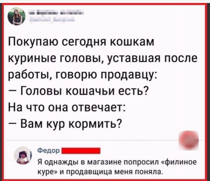 __ Покупаю сегодня кошкам куриные головы уставшая после работы говорю продавцу Головы кошачьи есть На что она отвечает Вам кур кормить Фидоп_ в однажды МЕ о куре и продавщица меня поняла