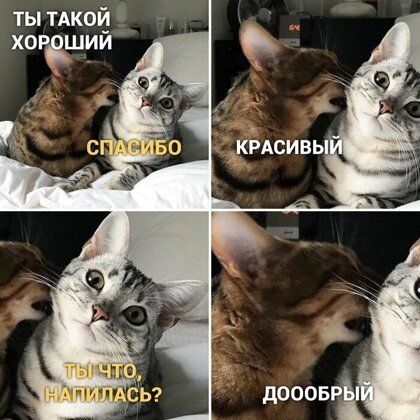 ты такой хордшии мчат і съ