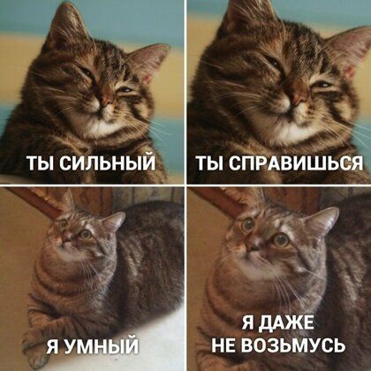 НЕ возыйусь