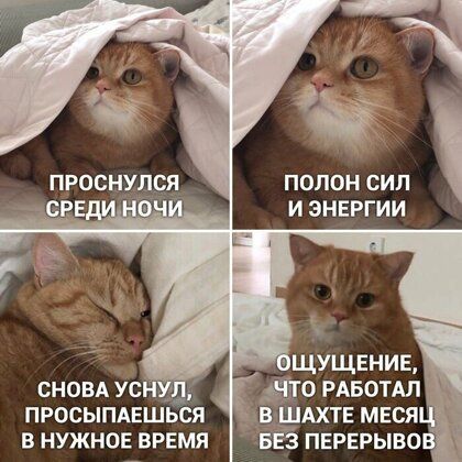 СНОВА ус ПРОСЫПАЕШЬСЯ В НУЖНОЕ ВРЕМЯ ПОЛОН сил И ЭНЕРГИИ щущвнив дю РАБОТАЛ АХТЕ мвся 1 ПЕрврыво