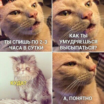 спишь по 2 3 удрявшься ЧАСА в сутки высыпдтьсяг