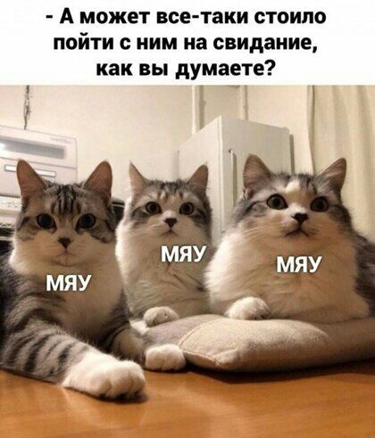 А может все таки стоило пойти с ним на свидание как вы думаете