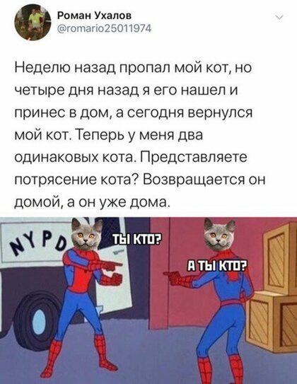Роман Уханов готапо250иэ74 Неделю назад пропал мой кот но четыре дня назад я его нашел и принес в дом а сегодня вернулся мой кот Теперь у меня два одинаковых кота Представляете потрясение кота Возвращается он домой а он уже дома