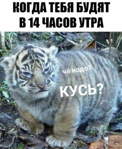 МДА ТЕБЯ БУДЕТ