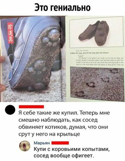 Я себе такие же купил Теперь мне смешно наблюдать как сосед обвиняет КОТИКОВ думая ЧТО ОНИ р у НЕГО На крыльце Марьям _ Купи кпровьими копытами сосед вообще ифигеет