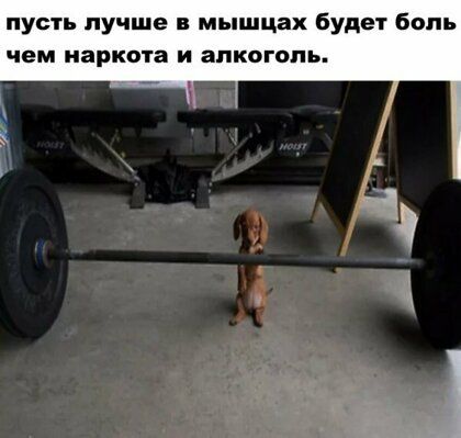 пусть лучше мышцах будет бош чем иаркпта и алкоголь