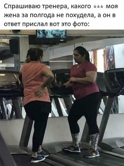 Спрашиваю тренера какого моя жена за полгода не похудела а он в ответ ПРИСЛЭЛ ВОТ ЭТО фОТО