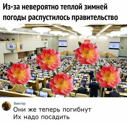 Из за невероятно теплой зимней погоды распусгилось правительство __Чъ ___ виитип Они же теперь погибнут Их надо посадить