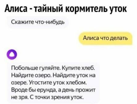 Алиса тайный кормитель уток Скажию что нибудь Побольше гулпй1е Купите хлеб Найдите озеро Найдиге уток на озере Угостите уток хлебом Вродв бы ерунда адень прожиг не зря С точки зрения угок
