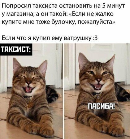 Попросил таксиста остановить на 5 минут у магазина а он такой Если не жалко купите мне тоже булочку пожалуйста Если что я купил ему ватрушку 3