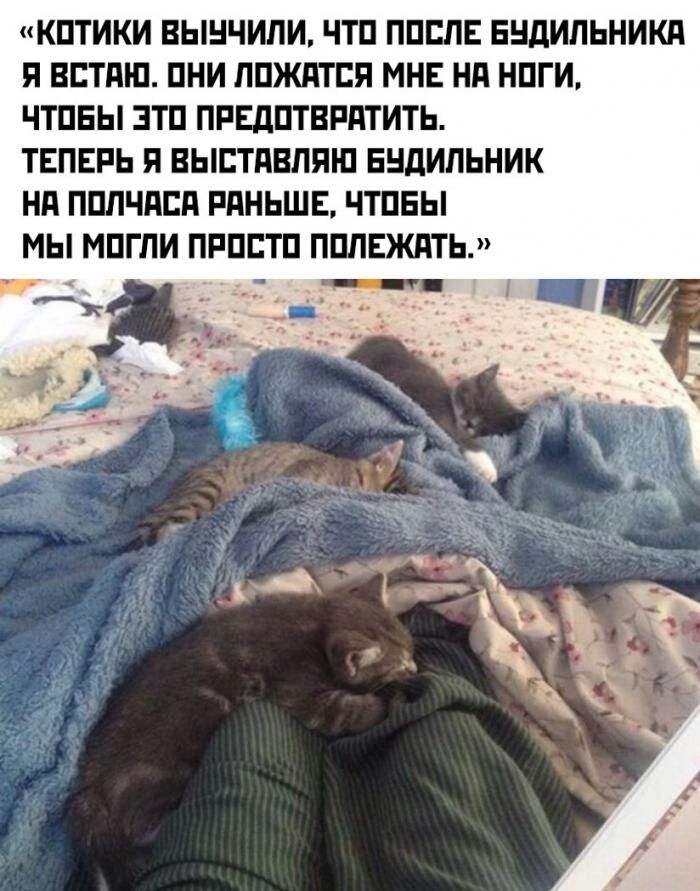 КПТИКИ ВЫНЧИЛИ ЧТП ППЕЛЕ ЕНДИПЬНИКП Я ВЕТдШ ПНИ ППЖПТЕП МНЕ Нд НПГИ ЧТПЕЫ ЭТП ПРЕДПТВРПТИТЬ ТЕПЕРЬ Я ВЫЕТПВЛПШ БНДИПЬНИК Нд ППЛЧПЕП РПНЬШЕ ЧТПЕЫ МЫ МПГЛИ ПРППТП ППЛЕЖПТЬ