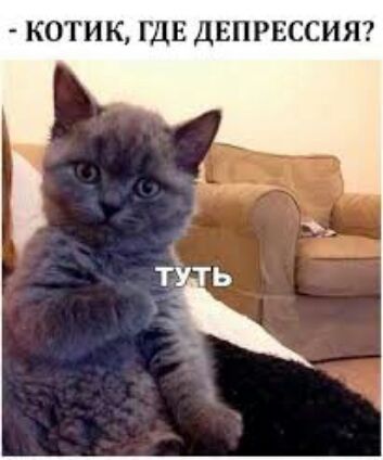 КОТИК ГДЕ ДЕПРЕССИЯ