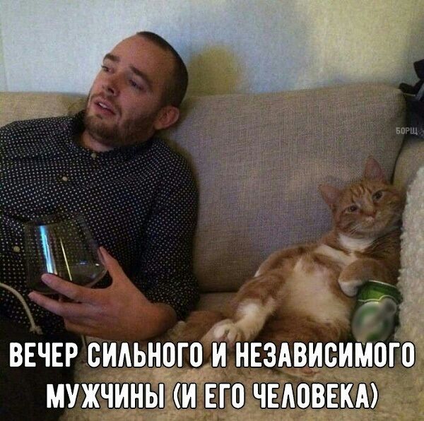 5 ВЕЧЕР СИАЬНОГО И НЕЗАВИСИМЫН МУЖЧИНЫ И ЕГО ЧЕАПВЕКА