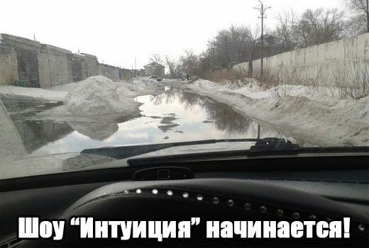 Интуиция начинаетт