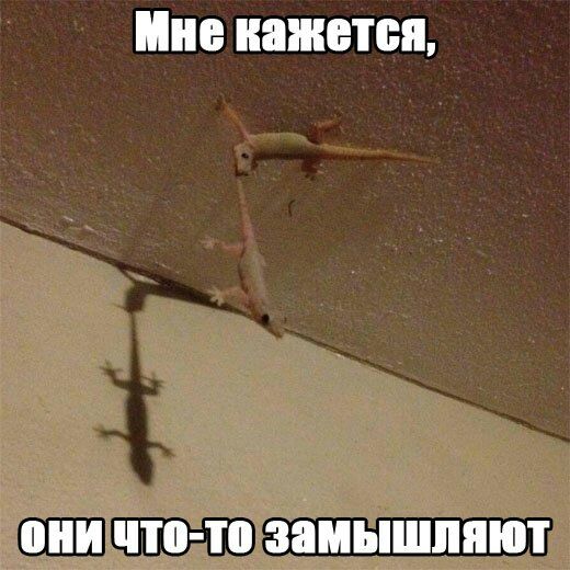 Мне кажется _