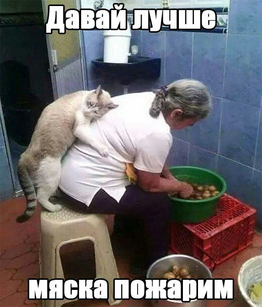 МЯБНШШШПИМЁ